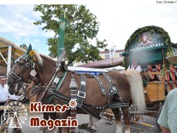 Fotos vom Barthelmarkt in Oberstimm 2025 (Freitag, Zelt)