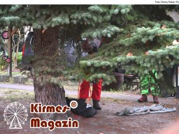 Fällung und Aufstellung des Weihnachtsbaumes für den Weihnachtsmarkt an der Berliner Gedächtniskirche