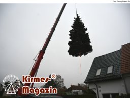 Fällung und Aufstellung des Weihnachtsbaumes für den Weihnachtsmarkt an der Berliner Gedächtniskirche