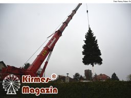 Fällung und Aufstellung des Weihnachtsbaumes für den Weihnachtsmarkt an der Berliner Gedächtniskirche