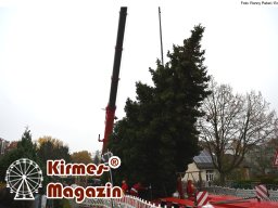 Fällung und Aufstellung des Weihnachtsbaumes für den Weihnachtsmarkt an der Berliner Gedächtniskirche