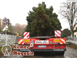 Fällung und Aufstellung des Weihnachtsbaumes für den Weihnachtsmarkt an der Berliner Gedächtniskirche