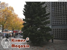 Fällung und Aufstellung des Weihnachtsbaumes für den Weihnachtsmarkt an der Berliner Gedächtniskirche