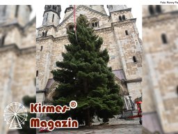 Fällung und Aufstellung des Weihnachtsbaumes für den Weihnachtsmarkt an der Berliner Gedächtniskirche