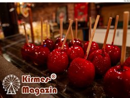 Fotos des Spandauer Winterlandes 2025 in Berlin